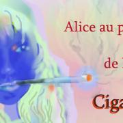 Alice pays cigar style - Image A