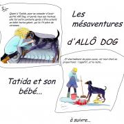 Bd me saventures allo dog 4