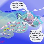 Bd poisson