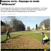 Espace vert hayange 01