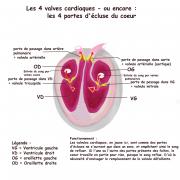 Les 4 portes du coeur sche ma