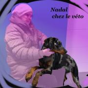Nadal chez ve to